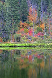 Autumn colors of forests in The Cascade