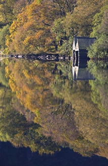 Images Dated 19th October 2007: Autumn colours and Boat houses reflections in Llyn Dinas - October - Snowdonia - North Wales