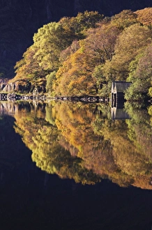 Images Dated 19th October 2007: Autumn colours and Boat houses reflections in Llyn Dinas - October - Snowdonia - North Wales