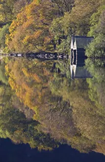 October Prints: Autumn colours and Boat houses reflections in Llyn Dinas - October - Snowdonia - North Wales