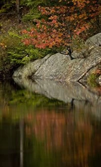 Images Dated 9th October 2009: Autumn leaves reflected in water - Adirondack Mountains - New York - USA