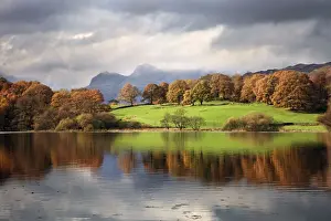 Cumbria Prints: Autumn reflections in Loughrigg Tarn with the Langdale Pikes in the background - November - Loughrigg - Lake District