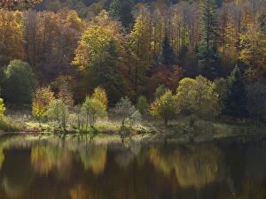 Autumn Trees - and reflections in the lake
