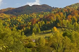 Images Dated 11th October 2008: Autumn in the Zsil valley, above Petrosani