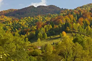 East Europe Prints: Autumn in the Zsil valley, above Petrosani, Retezat Mountains, South Carpathians, Romania