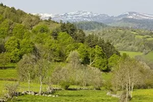 Images Dated 11th May 2008: The Auvergne in spring, looking towards the Monts du Cantal
