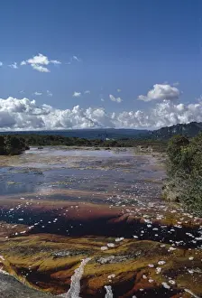 Auyantepui (Auyantepuy, Devil's Mountain) summit, blackwater river (golden river), Canaima National Park, Venezuela, South America
