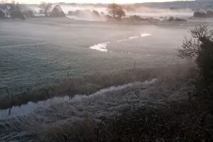 Wetland Gallery: Avon Valley (Hampshire) floodplain at dawn, near Breamore