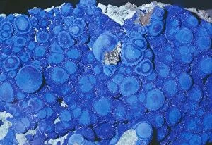Images Dated 1st June 2004: Azurite cu3 (co3)2 (oh)2 (Ore of Copper) Bisbee, Cochise County, Arizona