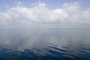 Images Dated 16th May 2011: Backwaters of Kerala, India