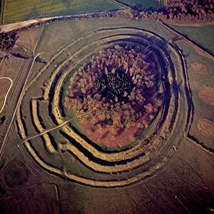 Badbury Rings, An Iron Age hill fort), Dorset