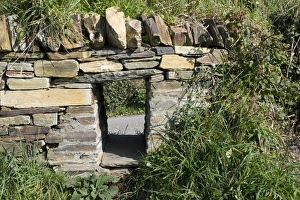 Images Dated 19th September 2008: Badger access left in wall Tintagel North Cornwall Coast UK