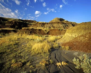 Images Dated 31st August 2006: Badlands at Dinosaur Provincial Park in