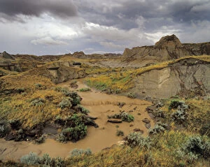 Images Dated 31st August 2006: Badlands at Dinosaur Provincial Park in