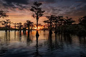 Bald cypress trees silhouetted at sunset. Caddo Lake, Uncertain, Texas Date: 26-10-2021