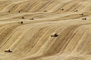 Bales of straw and abstract patterns in a cornfield afte