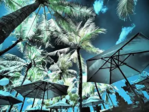 Resort Prints: Bali, Ubud. Umbrellas, Ponds and pools at hotel in Ubud Date: 14-04-2018