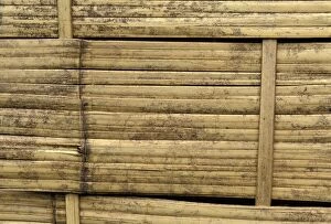Bamboo Gallery: Bamboo - wall of a malaysian house