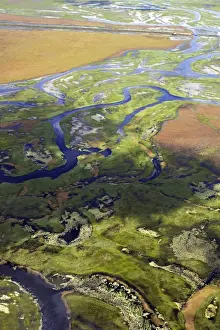Bangweuleu marshes - aerial. Zambia