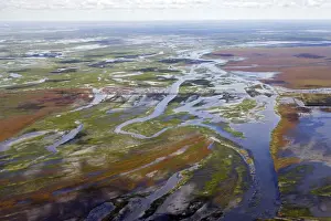 Bangweuleu marshes - aerial. Zambia