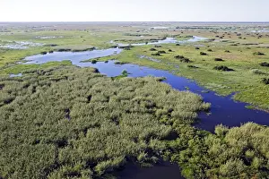 Bangweuleu marshes - aerial. Zambia