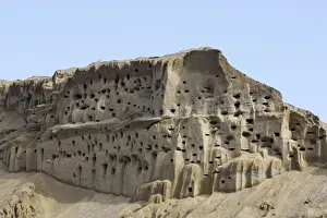Bank Swallow / Sand Martin - nest holes at colony in sand bank