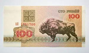 Note Prints: Banknote - Old Belorussia uncirculated banknote 100 roubles - depicting European Bison of Bialowieza Nature Reserve