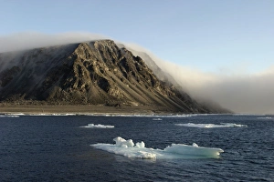 Images Dated 2003 August: 