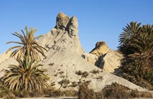 Badlands Gallery: Bare ridges of eroded sandstone and palm trees in the Ta