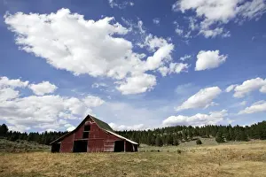 Ranches Prints: Barn & farmland. Ponderosa Ranch - Seneca - Oregon - USA