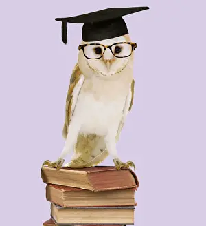 Equipment Prints: Barn Owl - with books - wearing glasses & mortar board Digital Manipulation: Books (JD) Glasses (Su) mortar board (ABM)