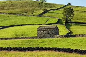 Farm Prints: Barns and stone walls near Muker - Swaledale - Yorkshire Dales National Park - North Yorkshire