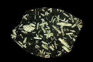 basalt porphry with feldspar phenocrysts, Chinese writin