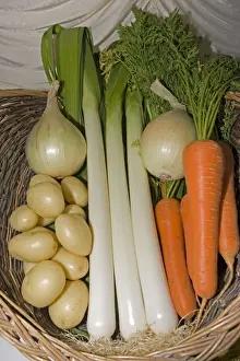Competition Prints: Basket of prizewinning vegetables at Moreton-in-Marsh agricultural show