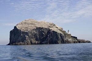Bass Rock - home over 70, 000 Northern Gannets as well as puffins and other seabirds