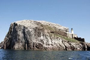 Images Dated 18th May 2008: Bass Rock- a volcanic plug, a major historic seabird nesting site. Firth of Forth, Scotland