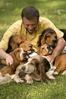 Images Dated 25th June 2005: Basset Hound - owner surrounded by 5 dogs