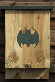 Bat - nestbox