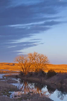 Bathed in sunset light the Calamus River