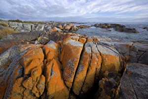 Images Dated 11th December 2008: Bay of Fires - rocks and ocean along Tasmania's east coast near St. Helens