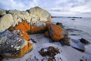 Bay of Fires - rocks and ocean along Tasmanias east coast near St. Helens