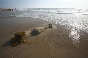 Images Dated 19th August 2009: Beach Art - Mermaid figure on Beach - Island of Texel - Holland