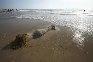 Sculptures Prints: Beach Art - Mermaid figure on Beach - Island of Texel - Holland