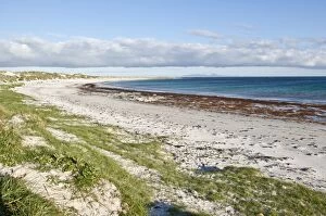 Images Dated 6th June 2009: Beach on Balranald RSPB Reserve