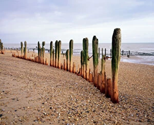 Atmospheric Collection: Beach Weathered groynes at Winchelsea Beach, East Sussex, UK