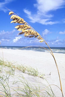 Beaches Boca Raton, Florida, USA