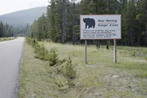 Road Prints: Bear warning sign - Jasper National Park - Canadian Rocky Mountains - Alberta - Canada MA002154