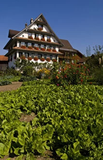 Images Dated 2nd June 2010: Beautiful Swiss chalets with flowers near