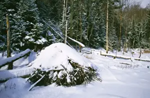 Beaver Lodge - in winter in snow Ontario, Canada