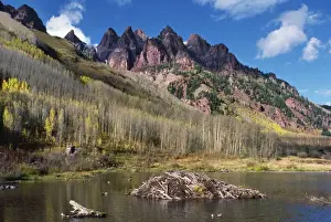 Dams Prints: Beaver's Hut / Lodge Rocky Mountains, Colorado, USA